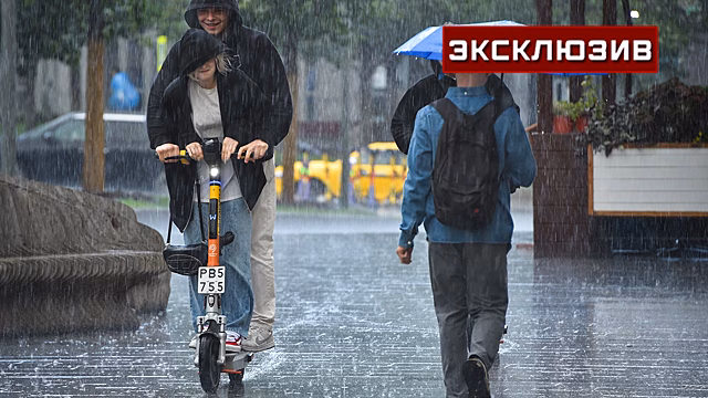 Эксперт Васильев предложил подойти комплексно к нарушениям на самокате