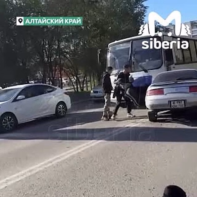 В Новоалтайске водитель иномарки сбил женщину и сбежал