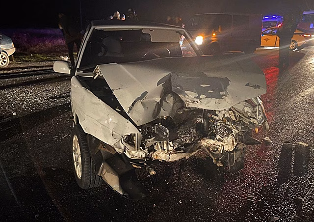 На дорогу выбежала собака: на Дону в ДТП пострадали два человека