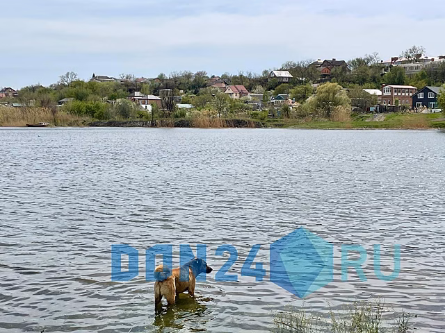 Уровень воды в реке Дон поднимется до неблагоприятных отметок