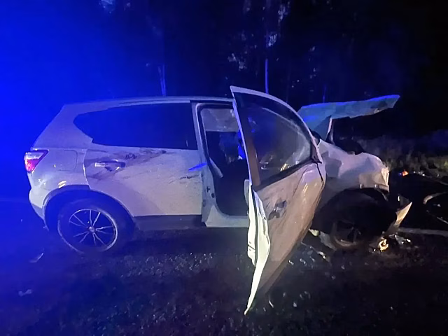 Два автомобиля и три человека пострадали в Удмуртии в аварии с лосем