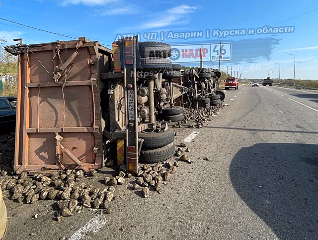 Под Курском в столкновении со свекловозом ранен водитель Renault