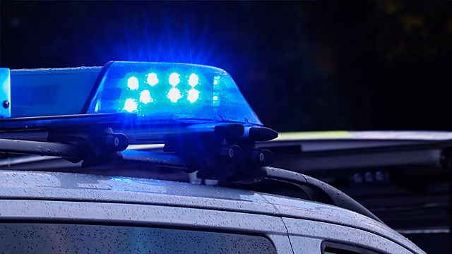 В Болгарии автобус с детьми слетел в кювет