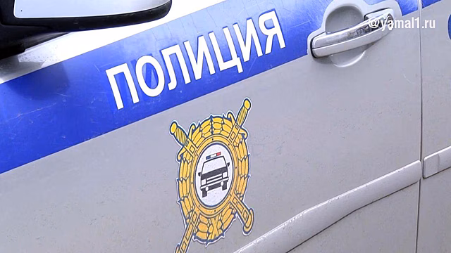Семья с ребенком из Петербурга пострадала в ДТП с лосем