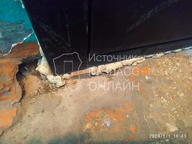 "Тысячами кишат": маленькие насекомые заполонили кемеровскую пятиэтажку