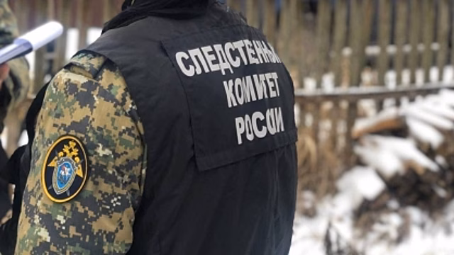 Глава СК РФ поручил разобраться в деле о растлении подростком 6-летней девочки на Дону