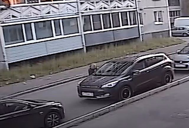 Хулиган за ночь повредил восемь машин на Древлянке