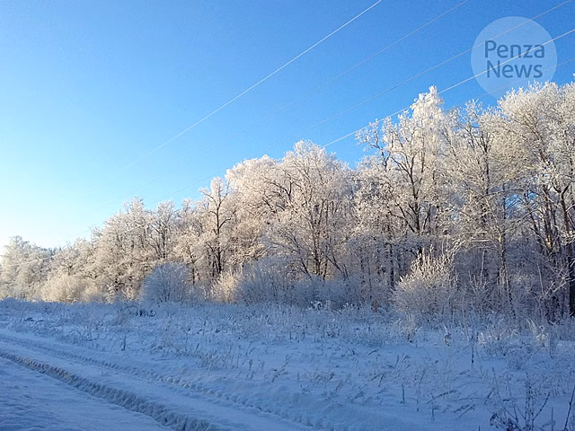 В Никольском районе выявлено шесть нарушений лесного законодательства