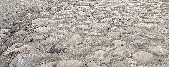 В Смоленске дорожные рабочие наткнулись на булыжную мостовую