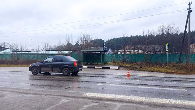Пенсионерку насмерть сбили на «зебре»