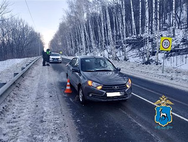 Косуля погибла под колесами Lada Granta в Самарской области
