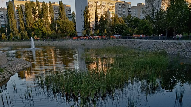 В сквере Марины Расковой заменят кустарники и отремонтируют тренажеры