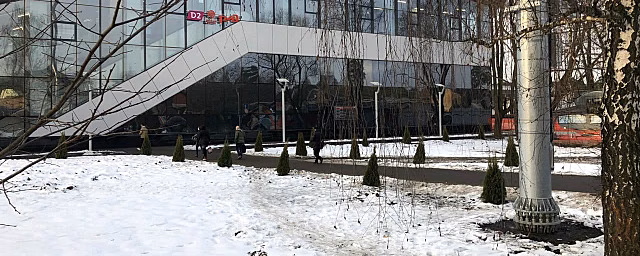 На станции Опалиха высадили около 20 хвойных деревьев