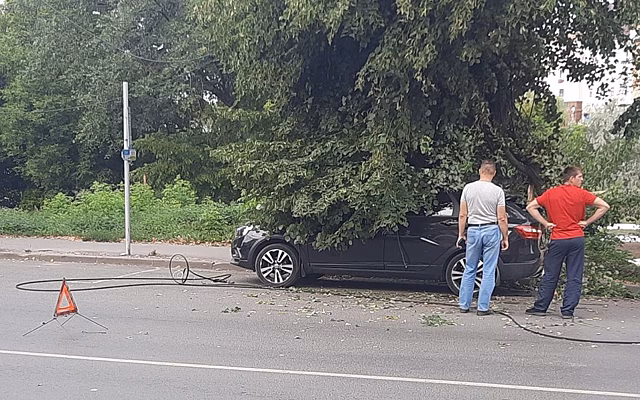 В Рязани на Право-Лыбедской на машину упало дерево