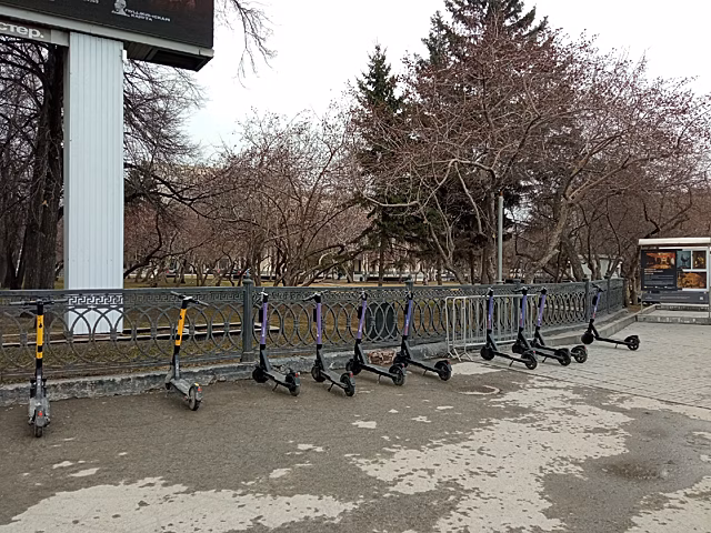 Мэрия отказалась запрещать электросамокаты в Новосибирске