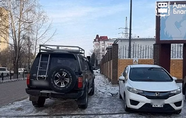 Благовещенские водители за парковку на газонах в 2025 году заплатили более 1 млн рублей штрафов