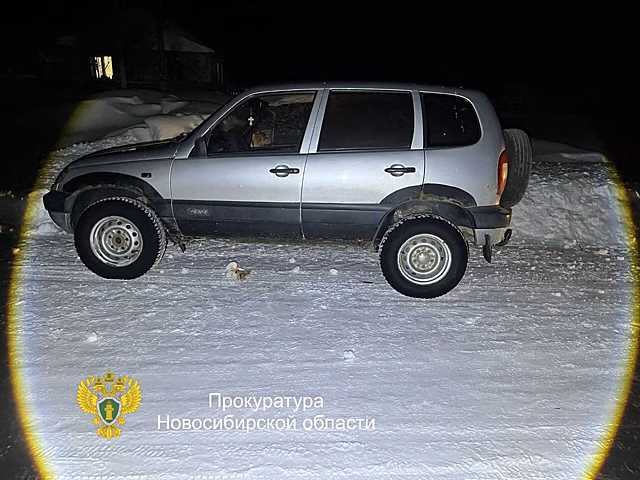 Под Новосибирском задержали водителя, который сбил насмерть школьницу