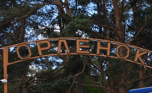 В курском лагере Орленок Натальи Пархоменко рассказала о педагогическом опыте отряду «Товарищ»