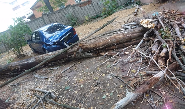 В Воронеже во дворе дома огромное дерево рухнуло на стоявшую иномарку