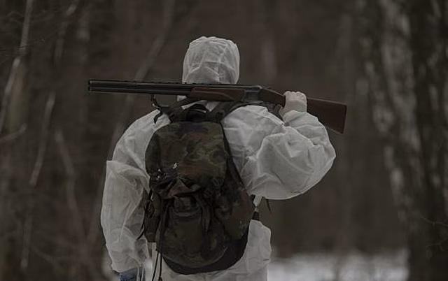 Стали известны подробности жестокой расправы над енотовидной собакой в Пермском крае