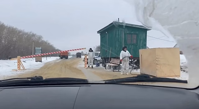 Блокпосты установили из-за изъятия коров в селах Новосибирской области