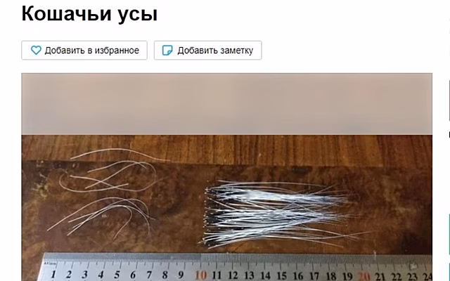 В Рязани на Avito продают кошачьи усы