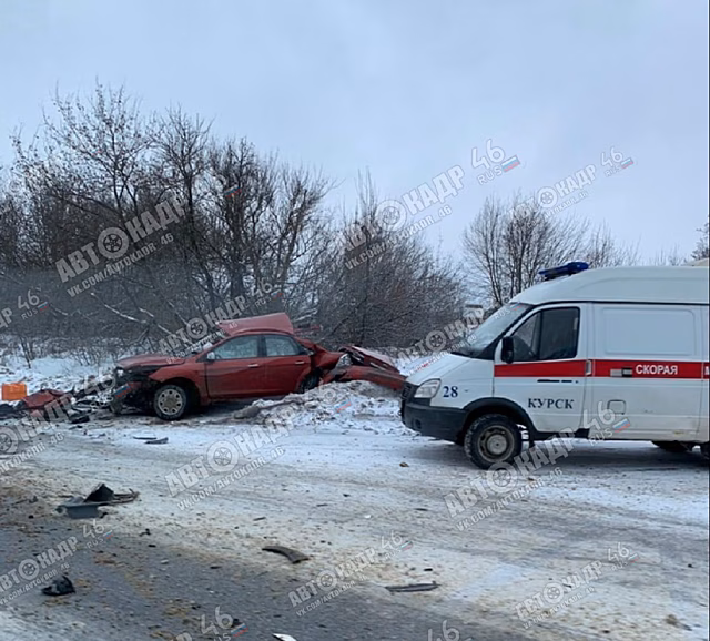 Под Курском в ДТП “на встречке” погиб 37-летний водитель
