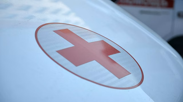 На трассе в Томске произошло ДТП с участием лося и Toyota