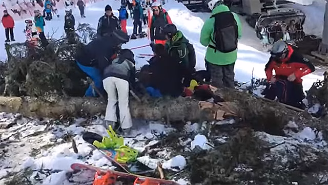 Момент падения огромного дерева на сноубордистку во время прохождения трассы попал на видео