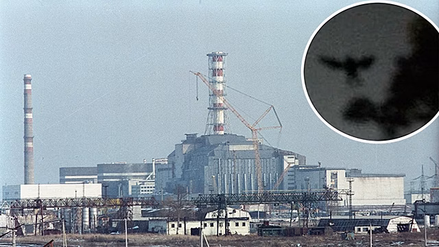 Британские СМИ рассказали о «таинственном существе», появившемся в Чернобыле незадолго до трагедии