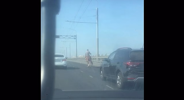 Костромич на коне снова вызывает зависть почти у всех