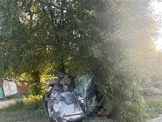 В Сызрани "Гранта" слетела с дороги и врезалась в дерево, погиб человек