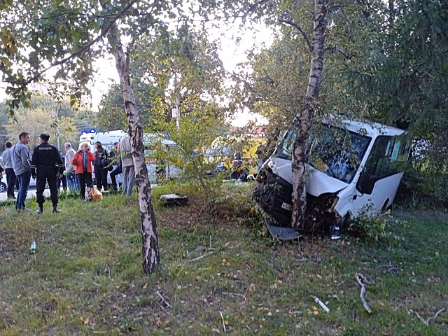 В Ленинском районе маршрутка с пассажирами врезалась в дерево. Пострадали восемь человек