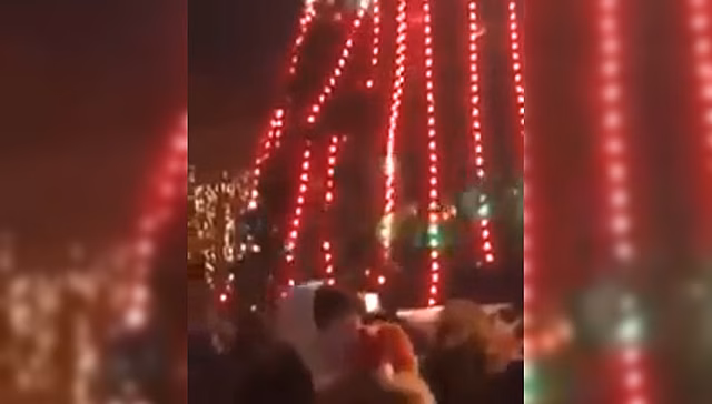 Пьяный гуляка в Борисполе влез на городскую елку. Видео