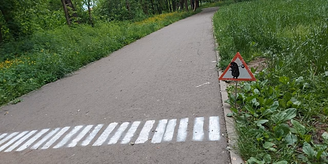 Пешеходный переход для ежей появился в подмосковском парке
