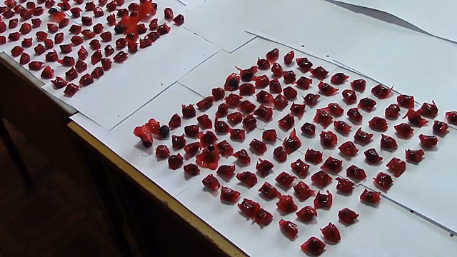 Подмосковные полицейские задержали закладчика, который вез в Самару 400 г героина