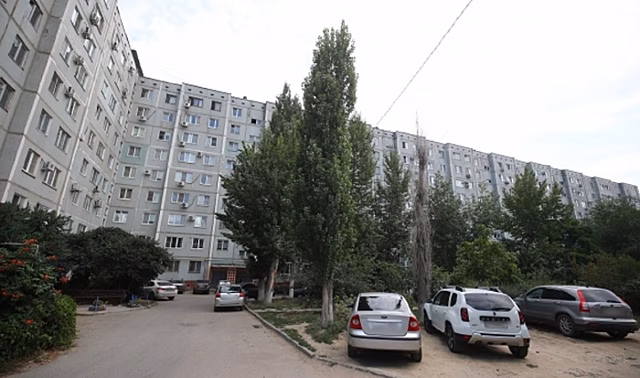 В Волгограде штраф за парковку в зеленой зоне могут увеличить в 2,5 раза