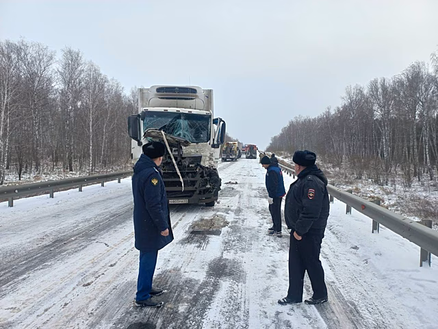 Прокуратура начала проверку после аварии с 19-ю транспортными средствами на трассе в Кузбассе