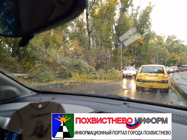 В Самаре из-за упавшего дерева растут пробки от Сухой Самарки