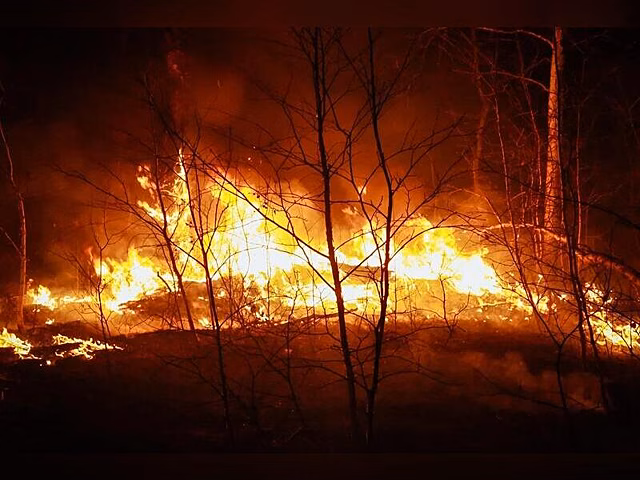 Пьяный водитель устроил лесной пожар на въезде в село Цаган-Олуй