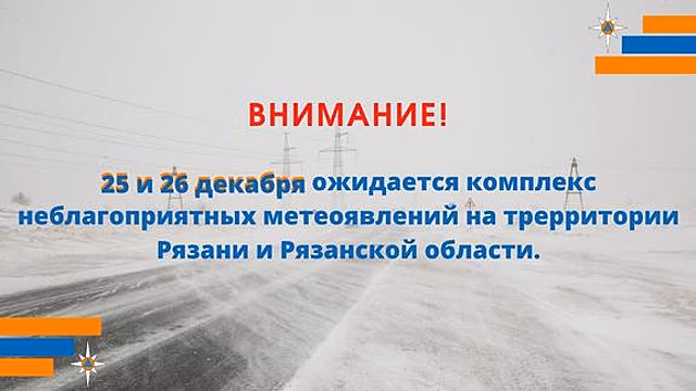 Появились подробности ДТП с участием автобуса под Рязанью, один из погибших  - иностранец
