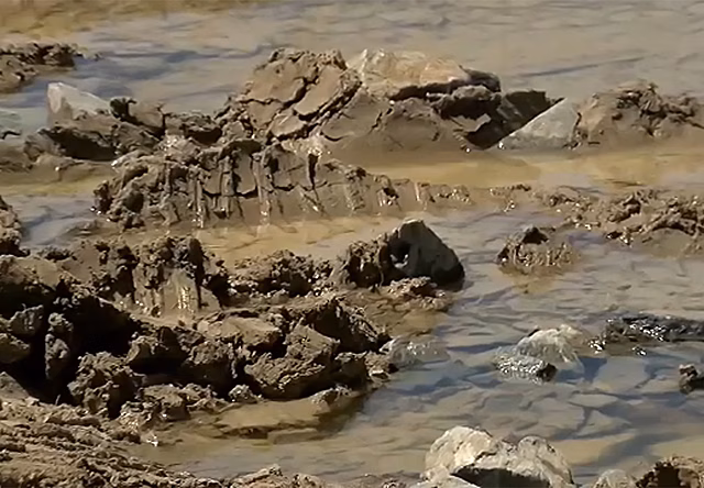 Навигатор Google Maps отправил десятки американских водителей в бездорожье, где они все застряли (видео)
