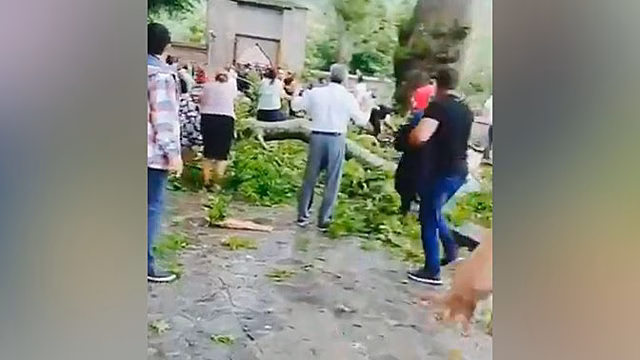 Появилось видео с места падения ветки чинары на россиян в Азербайджане