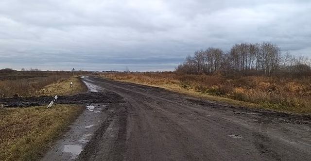 Жители СНТ под Тюменью жалуются на плохие дороги