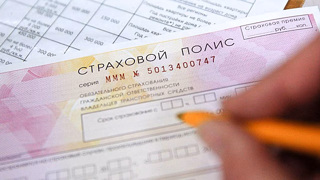 Водителям напомнили, как проверить ОСАГО по номеру автомобиля