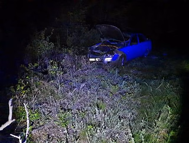 В Кинельском районе Lada Priora сбила лося
