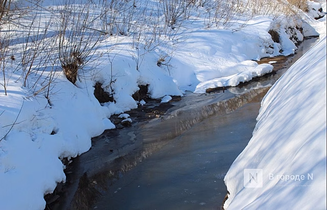 До +1°C потеплеет в Нижнем Новгороде