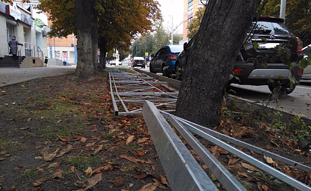 В Курске общественник предлагает заменить пешеходные заборы на кустарники