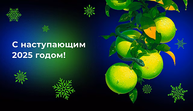 Провожаем старый год. Чем запомнился 2024 год для «Автокода»?