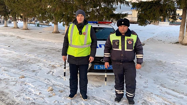 Полицейские Мордовии помогли попавшему в беду на трассе водителю из Турции, не говорящему по-русски